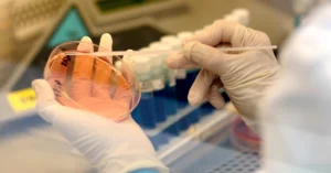 Fra bly til gull i laboratorium